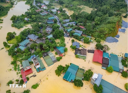 Typhoon Bualoi leaves 194 casualties, over 8.7 trillion VND in damage